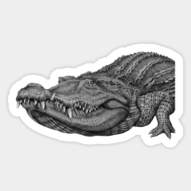 Crocodile Sticker by Tim Jeffs Art